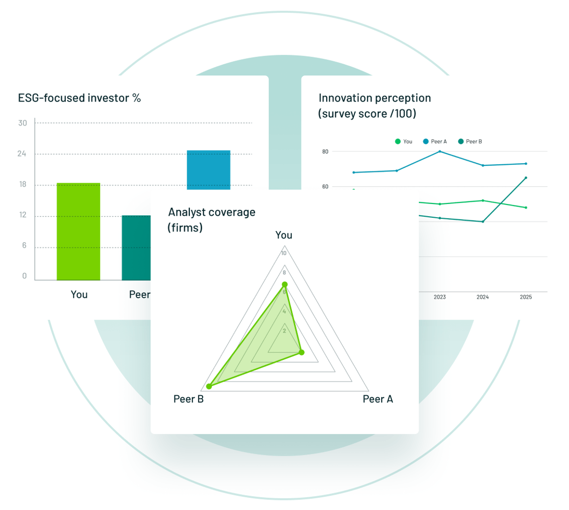 Characteristics shareholder analysis