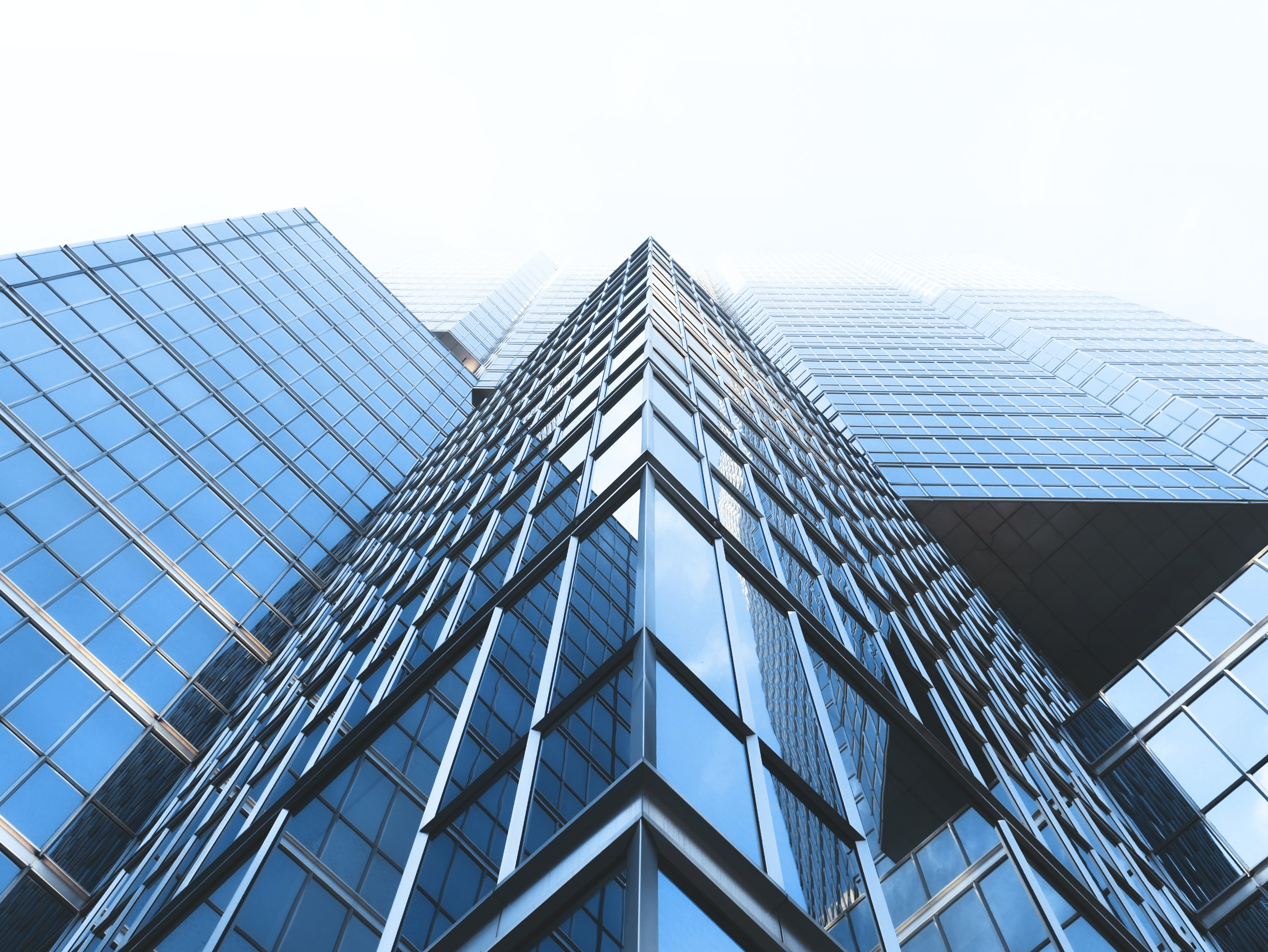 Stimolare il Consiglio di Amministrazione dall’Interno: Cosa Occorre per Essere Membri del Board of Directors nel 2020?